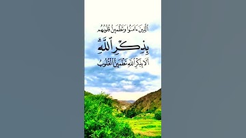 تلاوة خاشعة بصوت جميل ومؤثر #ايات_قرانيه_قصيره ايات #قران_كريم #قرآن #elmulquranعلم