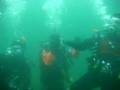 Scuba diving dudes