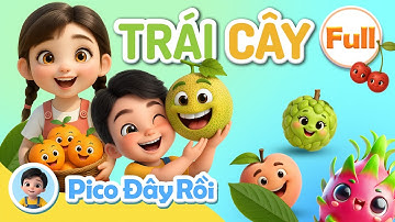 Trọn bộ Quả Gì Đây ? Cùng Pico Đoán Trái Cây | Giáo dục sớm cho trẻ | Early Learning For Kids