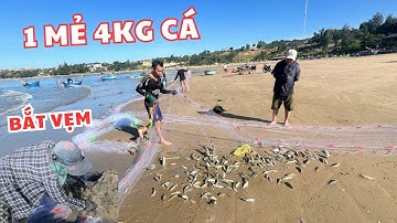 Làng Chài Nhộn Nhịp Thúng Đầy Hải Sản Ngư Dân Miệt Mài Bắt Vẹm Chài Cá