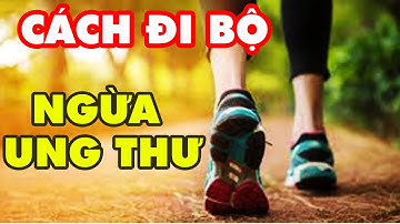 Cách Đi Bộ Chống 4 Loại Ung Thư Quen Thuộc Tốt Gấp Ngàn Liều Thuốc I KDO