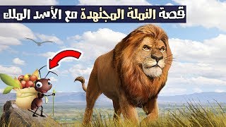 قصة النملة المجتهدة مع الأسد الملك، (قصة معبرة)