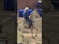 ⭐️Hermoso AZAHAR en la feria ganadera de Culiacán