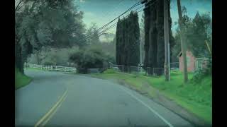 Tesla FSD vs Deer, will it end badly