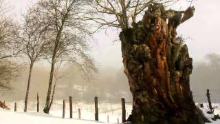 Navarra  245  JAUNSARATS  valle de Basaburua