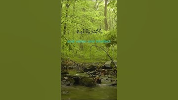 سورة النحل الآية ٧٨ بصوت القارئ الشيخ خالد عبدالله القحطاني | تلاوة خاشعة تريح القلب