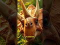 🦕 Triceratops' Epic Defense Adventure! 🛡️