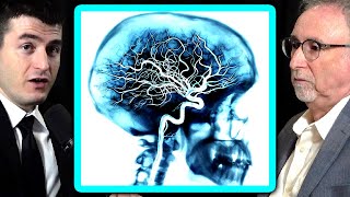 Download lagu Flynn effect: Are people getting smarter? | Richard Haier and Lex Fridman