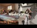Weekly Vlog, Melbourne girl apartment, sassy cats & brekkie catchups