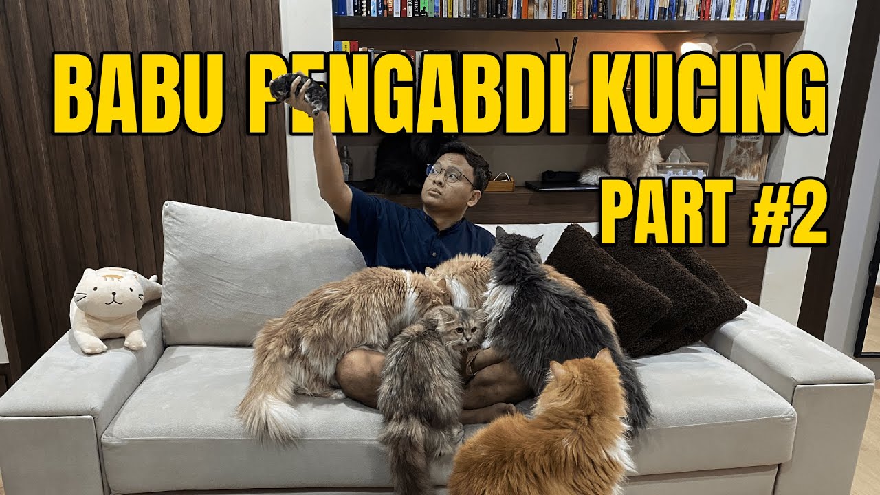 POV: Hari Minggu Pengabdi Kucing (PART #2)