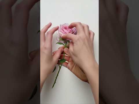 #DreamScreenAILet's add colors to #diwalispecial #trending #shorts #diy #diwalivibes #rangoli #viral