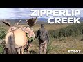 FL0503 - MONSTER YUKON MOOSE HUNT - ZIPPERLIP CREEK