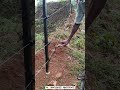 solar fencing installation completed..In Pathanamthitta, Kerala. #viralshorts #solar #fencing