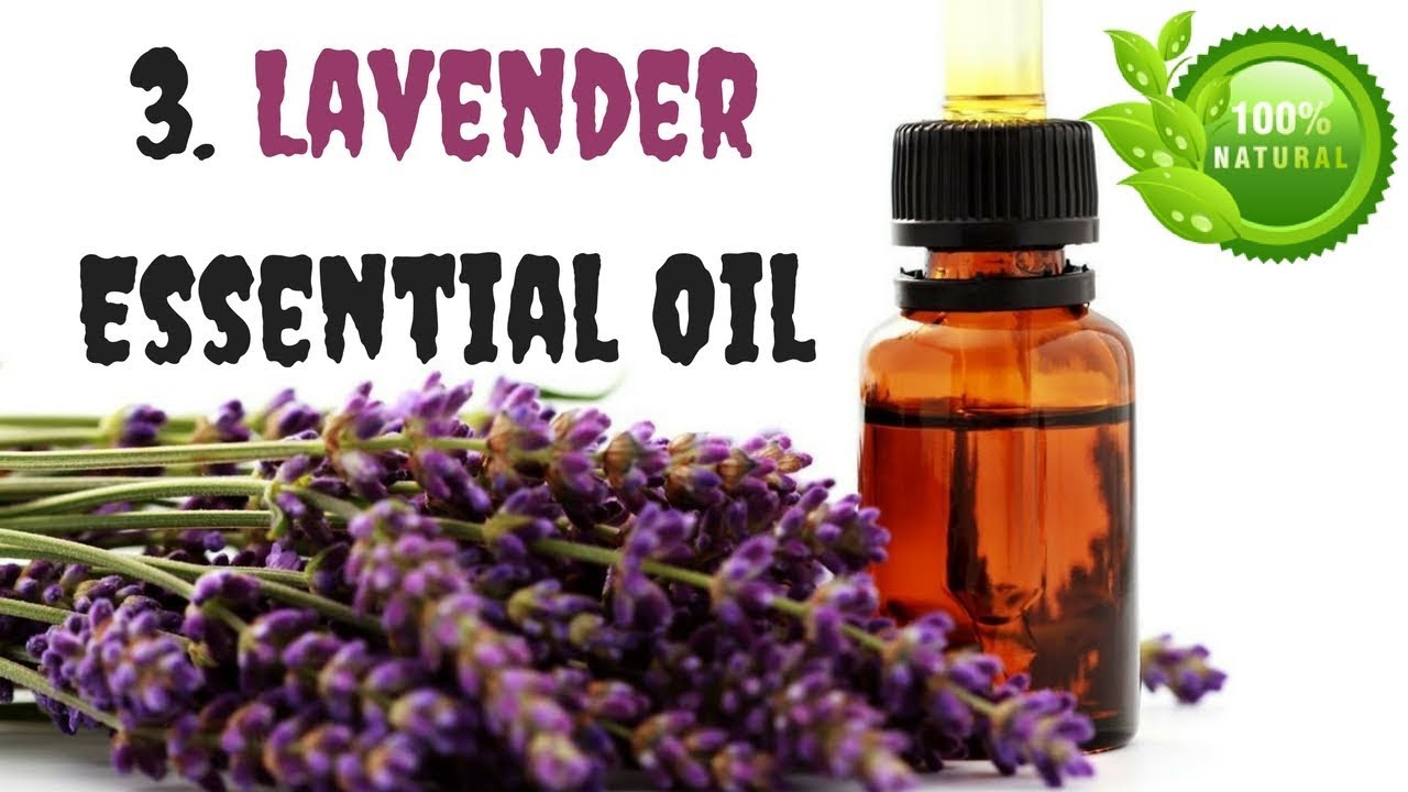 Essential Oils for Cold Sores 3. Lavender Essential Oil clickbank