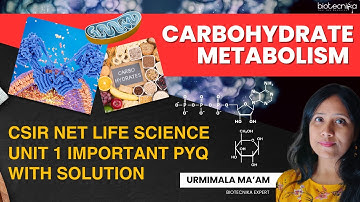 Carbohydrate Metabolism - CSIR NET Life Science UNIT 1 Important PYQs With Solution - Don