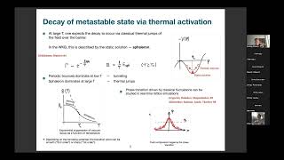 Andrey Shkerin, Black holes and vacuum decay