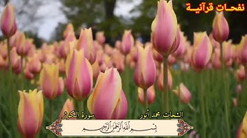 مقطع جميل ما تيسر من سورة الكوثر للشيخ الشحات محمد أنور