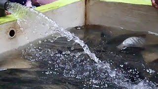 Kumpulan video slowmotion 960fps status wa-story wa