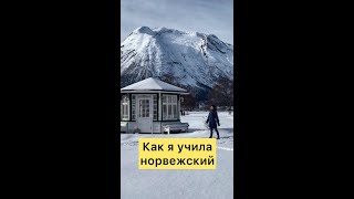 Как я учила норвежский язык