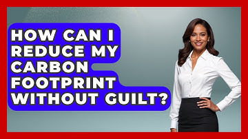 How Can I Reduce My Carbon Footprint Without Guilt? - Explaining Ecology