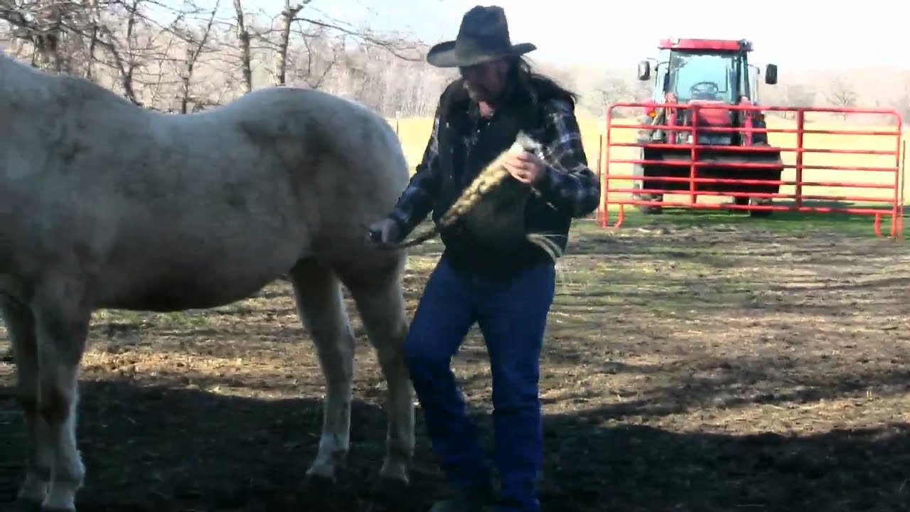 How to Put Down a Horse How to Put Down a Horse
