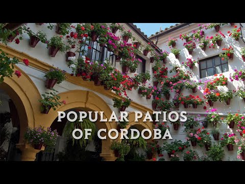 Guided Tour Patios of Cordoba | ArtenCórdoba