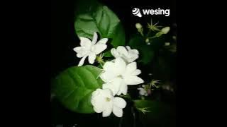 kidung tulodho lirik by niken salindry