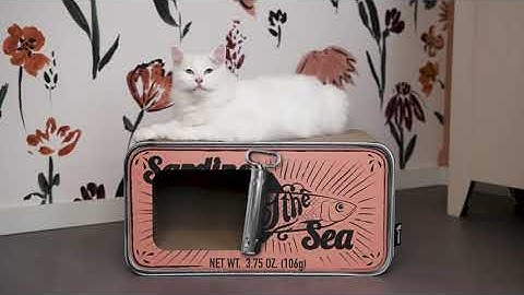 Cardboard Cat Scratcher SARDINE | District 70