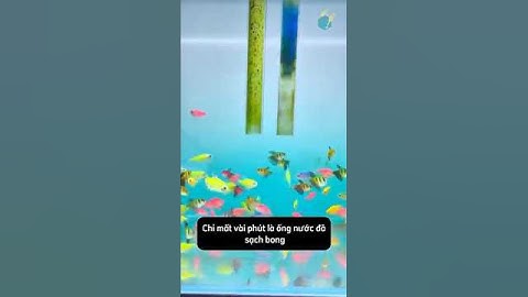 Cây chải cọ sạch cặn bẩn trong ống nước bộ lọc tăng hiệu quả lọc cho bể cá #aquarium #youtubeshorts