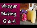 Vinegar Making Q&A