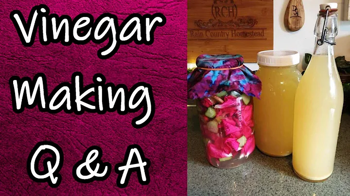 Vinegar Making Q&A - DayDayNews