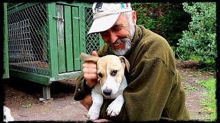 Pig hunters Puppy Dog Vlog 16