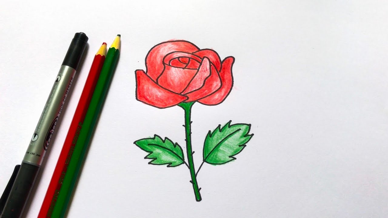 Vẽ hoa hồng thật đẹp theo phong cách Anime Vẽ Hoạt Hình