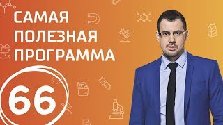 Как нас обманывают? Выпуск 66 (28.10.2017). Самая полезная программа. Как нас обманывают? Выпуск 66 (28.10.2017). Самая полезная программа.