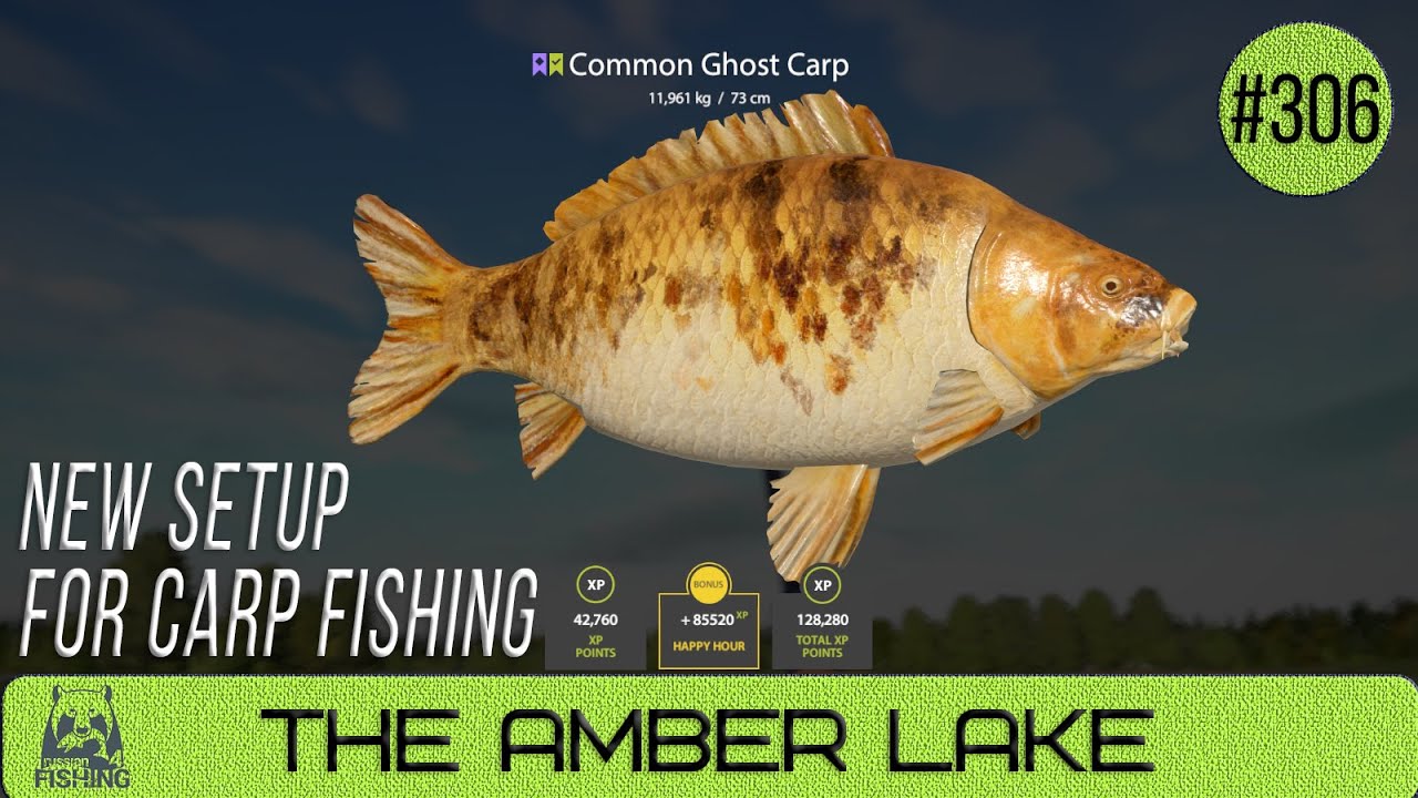 Russian Fishing 4 The Amber Lake New Setup for Carp Fishing 306