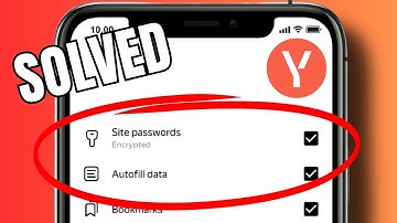 How to transfer your saved passwords from Google to Yandex Browser