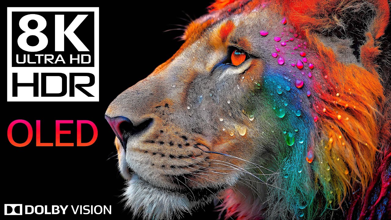 8K HDR 60FPS — Wildlife Immersion Dolby Vision 🌿