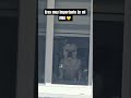 Eres muy importante 💛💛Te Amo 💖 💕 #cachorrosdivertidos #humor #viral #shorts #pets
