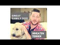 WHAT IS THE BEST FAMILY DOG? Wheaten Terrier Review and featuring viewers dogs!