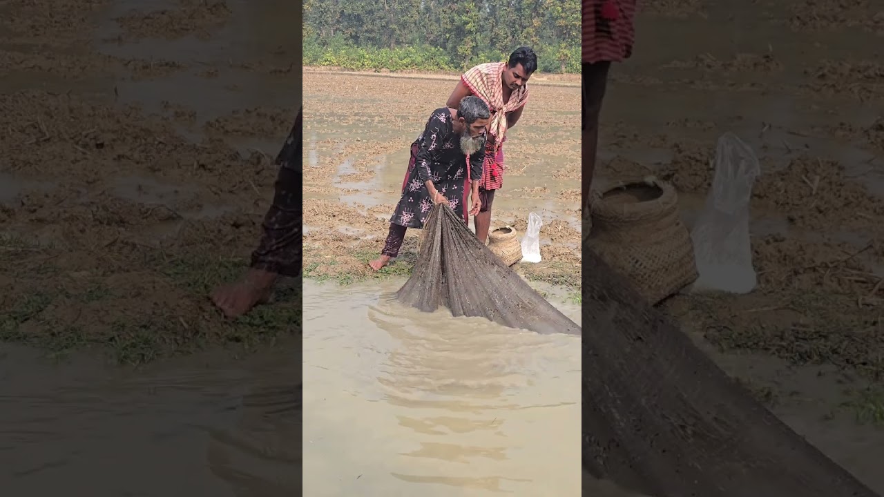 See how the Bangladeshi boy caught a huge fish 🙄
