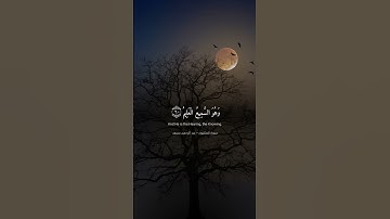 (الذين صبروا وعلى ربهم يتوكلون) سورة العنكبوت. [القارئ  عبد الرحمن مسعد] ارح سمعك🎧