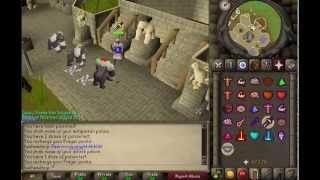 07 Old School Runescape AFK Training Monkey Guards