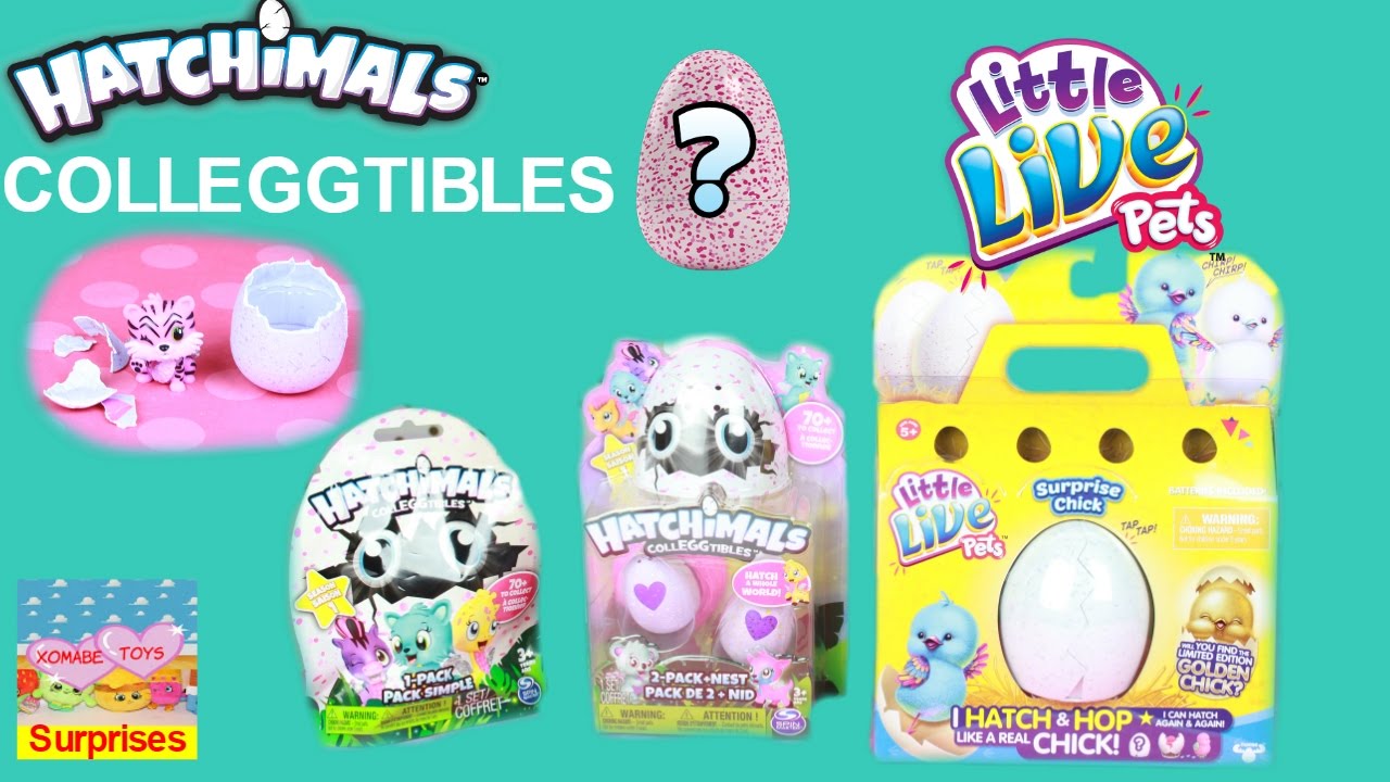 Hatchimals Colleegtibles Eggs Season 1 and Little live Pets Surprise