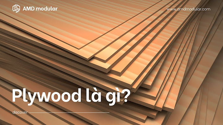 Có bao nhiêu loại gỗ plywood trên thị trường năm 2024