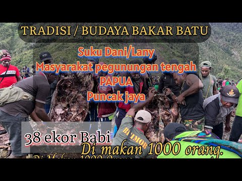 Babi Bakar Batu
