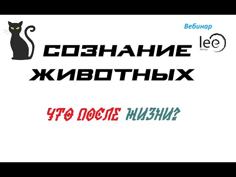 СОЗНАНИЕ ЖИВОТНЫХ | Что после жизни?