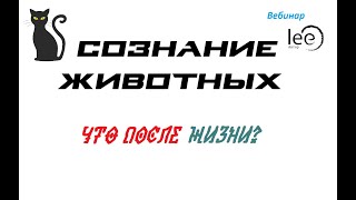 СОЗНАНИЕ ЖИВОТНЫХ | Что после жизни?