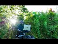 TRIP TO AFRICA MIX 2 DJAY DENNO TRIP TO AFRICA MIX 2 DJAY DENNO