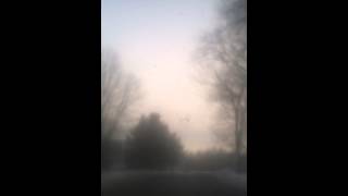 Delivery Tutorial - Mill Valley, New Hollister, The Brook