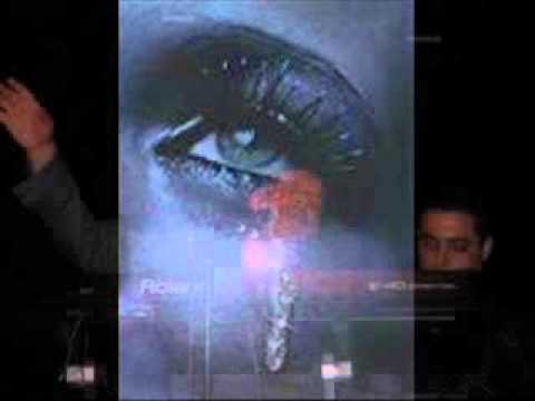 cheikh nani live